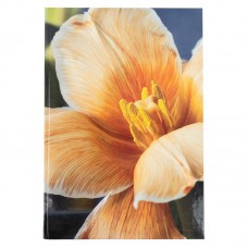 Книга записна А4, 192арк., кліт., Flora, жовта