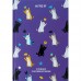 Словник з іноземної мови, 60 арк., UA Cats